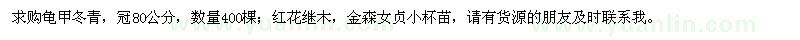 求購龜甲冬青、紅花繼木、金森女貞小杯苗