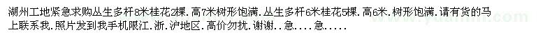 求購桂花