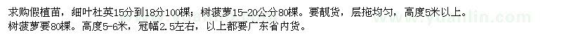 求購細(xì)葉杜英,樹菠蘿