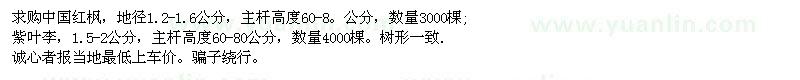求購中國紅楓