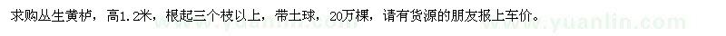 求購叢生黃櫨20萬棵