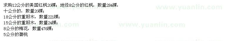 求購(gòu)美國(guó)紅楓,紅楓,重陽(yáng)木,梅花,碧桃