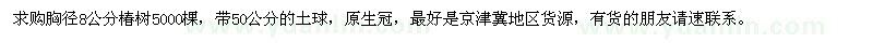 求購胸徑8公分椿樹