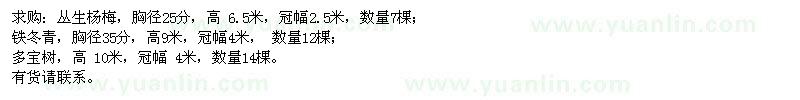 求購(gòu)叢生楊梅,鐵冬青,多寶樹(shù)