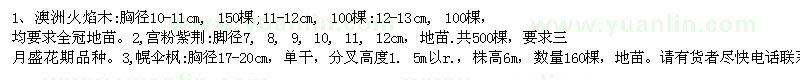 求購 澳洲火焰木 宮粉紫荊 幌傘楓等