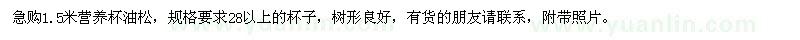 求購1.5米營養(yǎng)杯油松