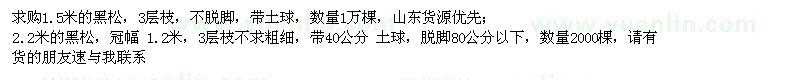 求購1.5米的黑松,2.2米的黑松