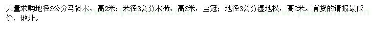 求購(gòu)馬褂木,木荷,濕地松