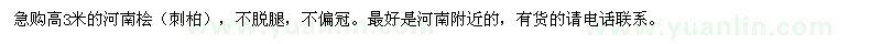 求購高3米的河南檜