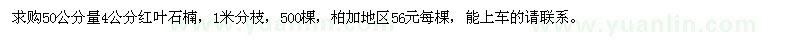 求購50公分量4公分紅葉石楠