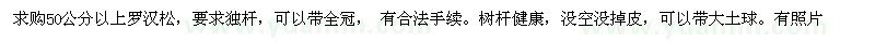求購 50公分以上羅漢松