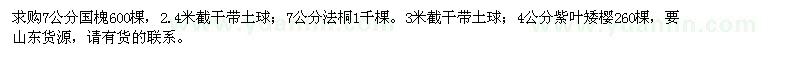 求購國槐、法桐、紫葉矮櫻