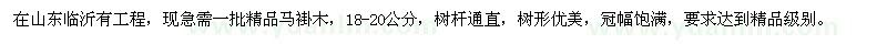 求購18-20公分精品馬褂木