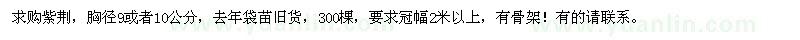 求購胸徑9或者10公分的紫荊
