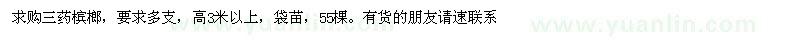 求購(gòu)三藥檳榔55棵