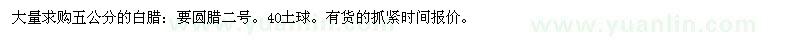 求購5cm白臘