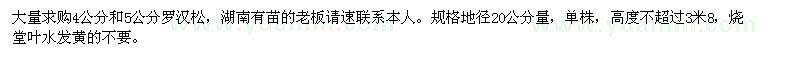 求購4公分5公分羅漢松