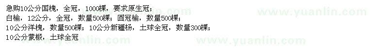求購國槐,白榆,洋槐,新疆楊,旱柳