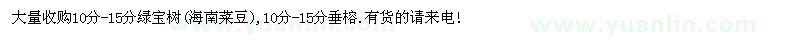 求購綠寶樹(海南菜豆),垂榕
