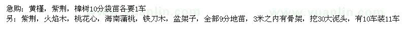 求購黃槿,紫荊,樟樹,盆架子