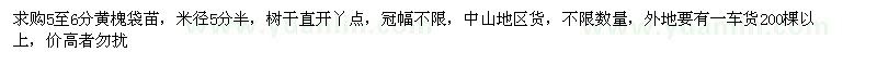 求購5至6分黃槐