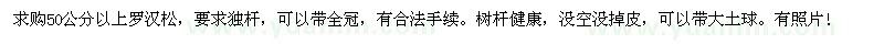 求購(gòu)50公分以上羅漢松