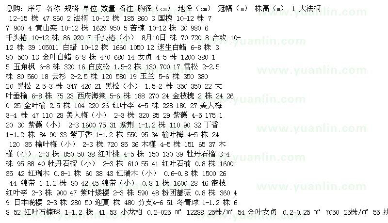 求購 法桐、 國槐、黃山欒