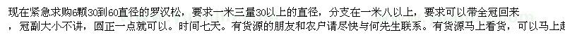 求購(gòu)羅漢松