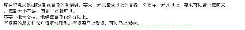 求購大香泡、大金桔