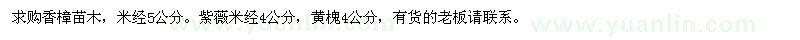求購(gòu)香樟苗木