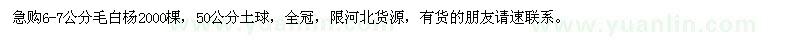 求購6-7公分毛白楊