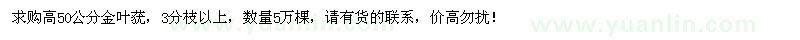 求購高50公分金葉蕕5萬棵
