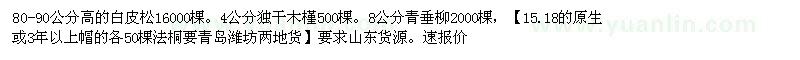 求購白皮松木槿