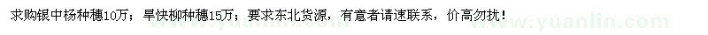 求購銀中楊種穗10萬、旱快柳種穗15萬