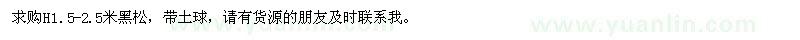 求購(gòu)H1.5—2.5米黑松