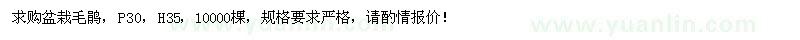 求購盆栽毛鵑