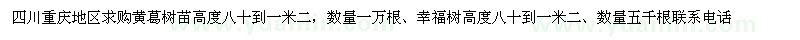 求購黃葛樹幸福樹苗高度八十到一米二