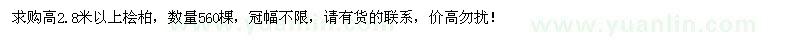 求購(gòu)高2.8米以上檜柏560棵