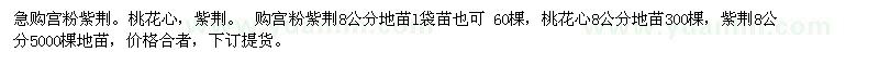 求購宮粉紫荊 桃花心 紫荊等