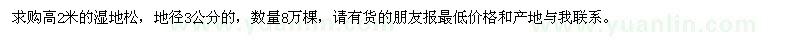 求購高2米的濕地松