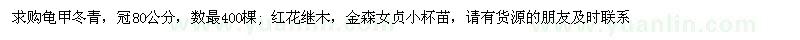 求購龜甲冬青