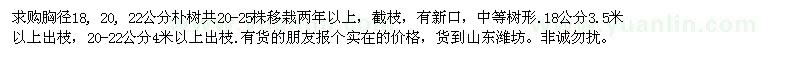 求購胸徑18, 20, 22公分樸樹