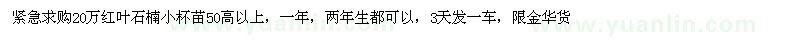 求購紅葉石楠小苗