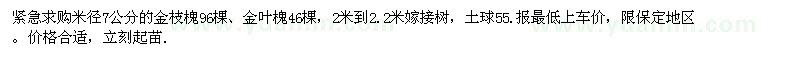 求購米徑7公分的金枝槐96棵