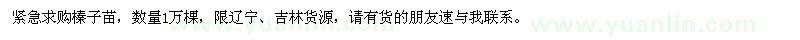 求購榛子苗