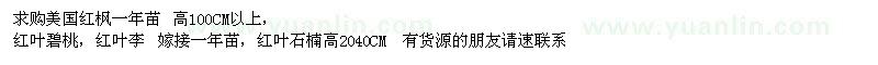 求購美國紅楓、紅葉碧桃，紅葉李