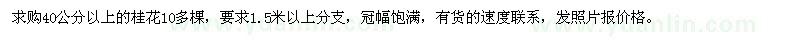 求購40公分以上的桂花10多棵