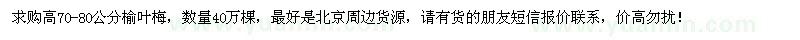求購高70-80公分榆葉梅