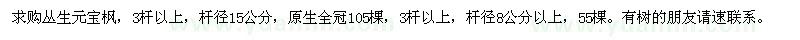 求購叢生元寶楓55棵
