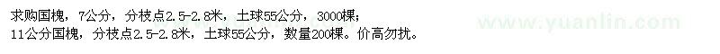 求購7公分,11公分國槐